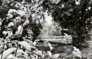 La neu emblanquina zones elevades del Vallès Occidental