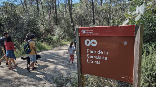noticia_1782220599.jpg