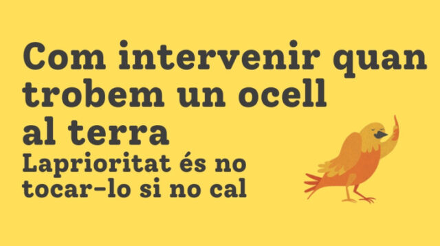 noticia_1785845624.jpg