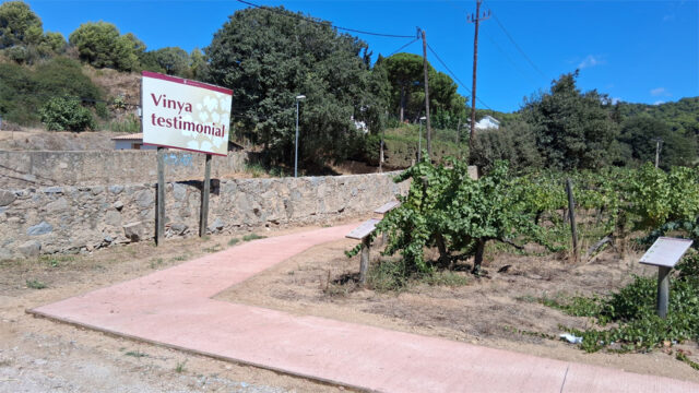 noticia_1789565160.jpg