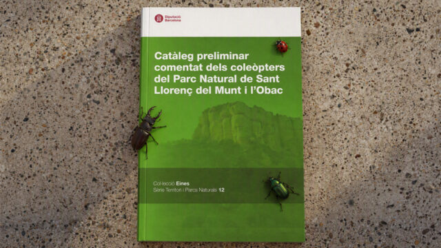 noticia_1793110591.jpg